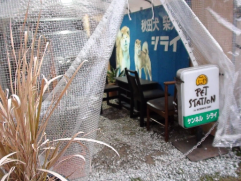 展示室の様子